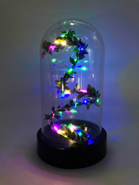 Led Işıklı Çiçek Ters Fanus 3 Metre Peri Tel ile Birlikte Sarmaşık Rgb Renkli Teraryum Dekoratif Organizasyon Süsleme Hediye
